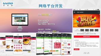 瓊海市互聯(lián)網(wǎng)協(xié)會會員風(fēng)采 海南新視野企業(yè)營銷策劃服務(wù)有限公司——深耕本土，智創(chuàng)未來